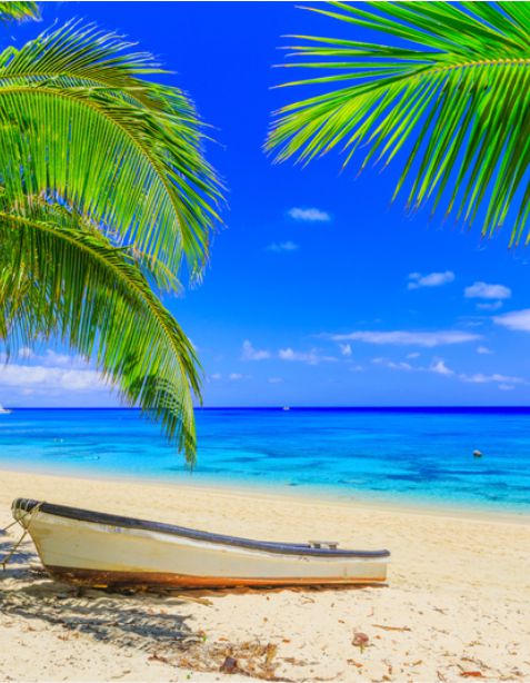 Rebel Le Mag Iles Fidji