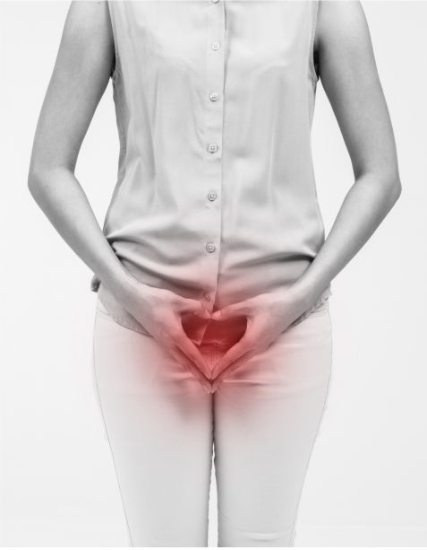 Rebel-Les-ITSS-a-50-ans-Sept-2024