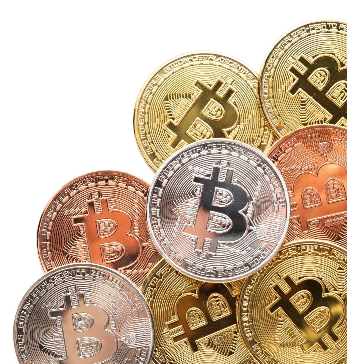 La cryptomonnaie. La jungle capitaliste. - Rebel Le Mag