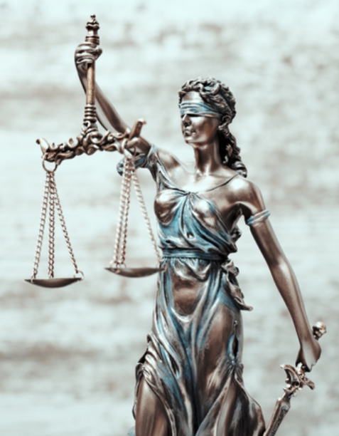 Rebel-LeMag-Lois_Stupides_2