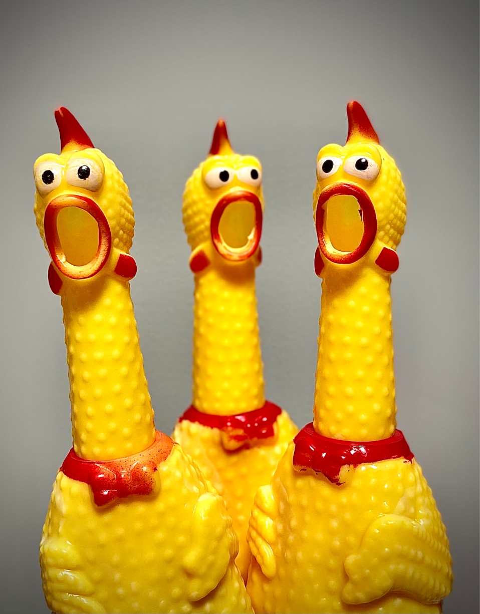 Un_Monde_un_peu_fou__Rebel_LeMag