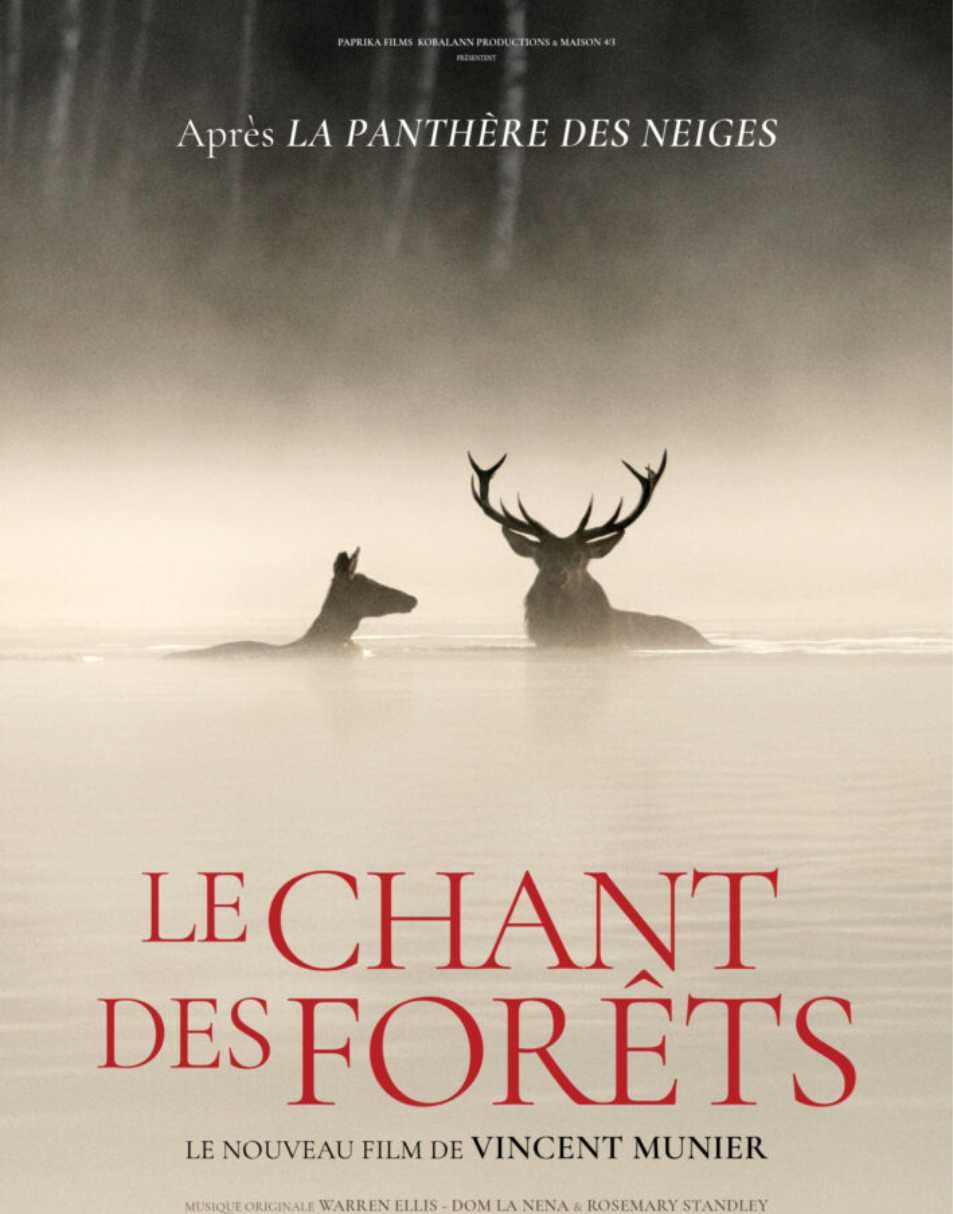 Chant des foret_Rebel_Lemag_2026